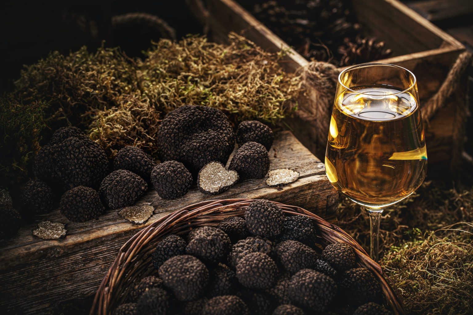 still life of black truffle